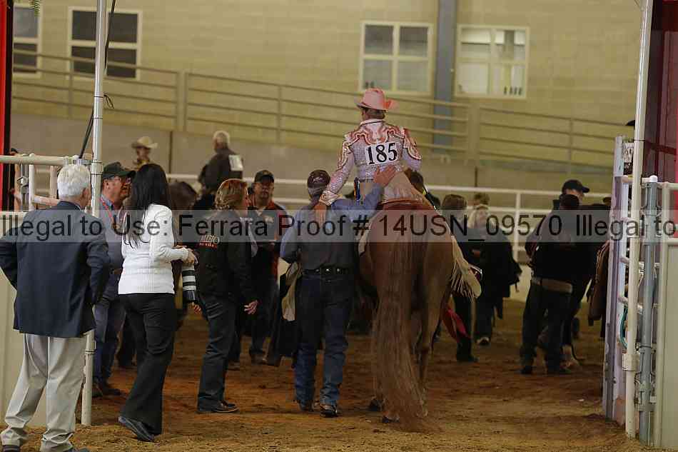 Proof 14usn_09570