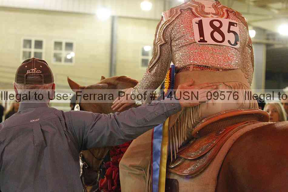 Proof 14usn_09576