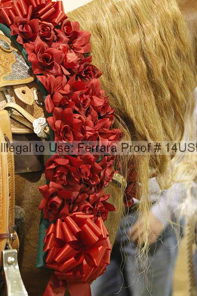 Proof 14usn_09589