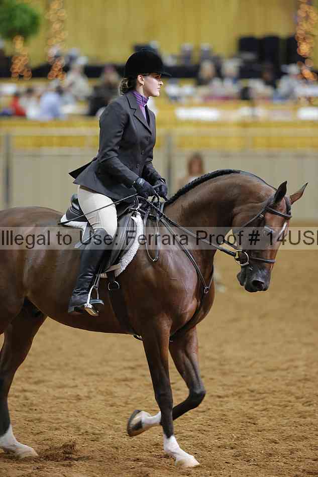 Proof 14usn_07796