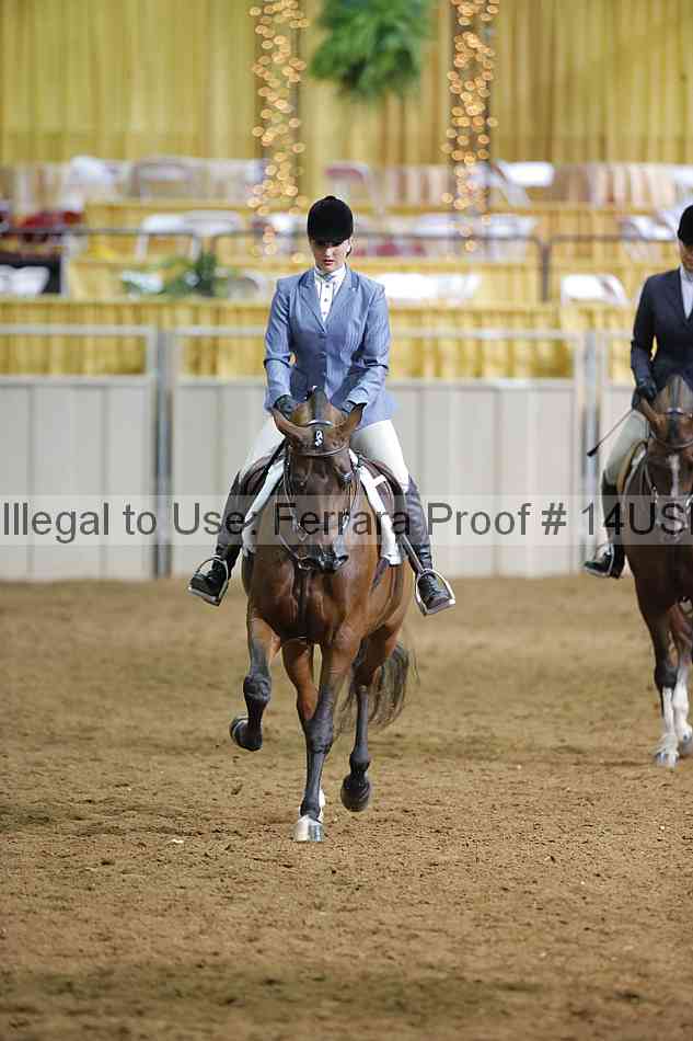 Proof 14usn_07810