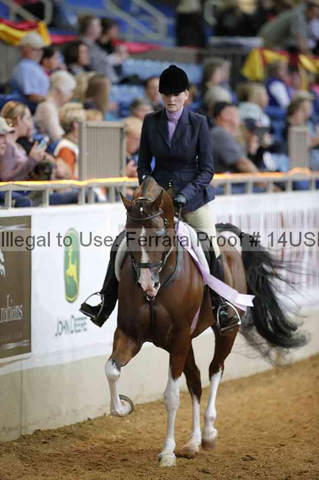 Proof 14usn_07867