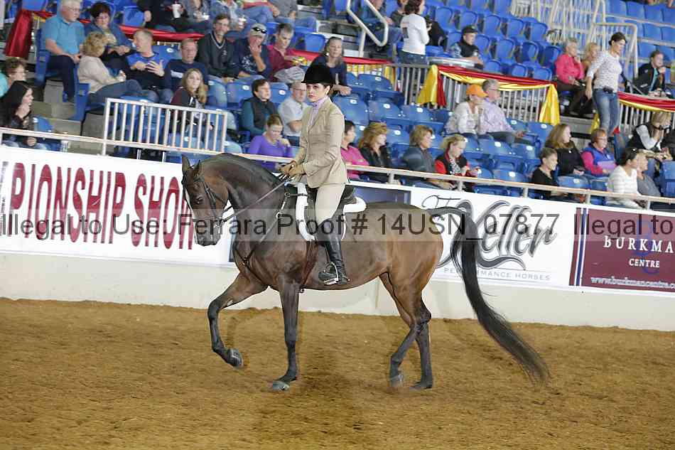 Proof 14usn_07877