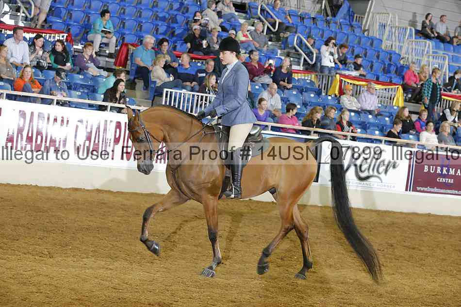 Proof 14usn_07899