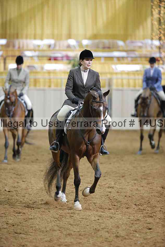 Proof 14usn_07904