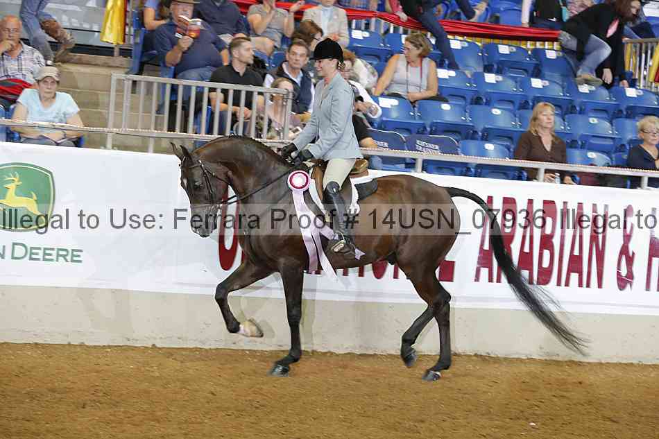 Proof 14usn_07936