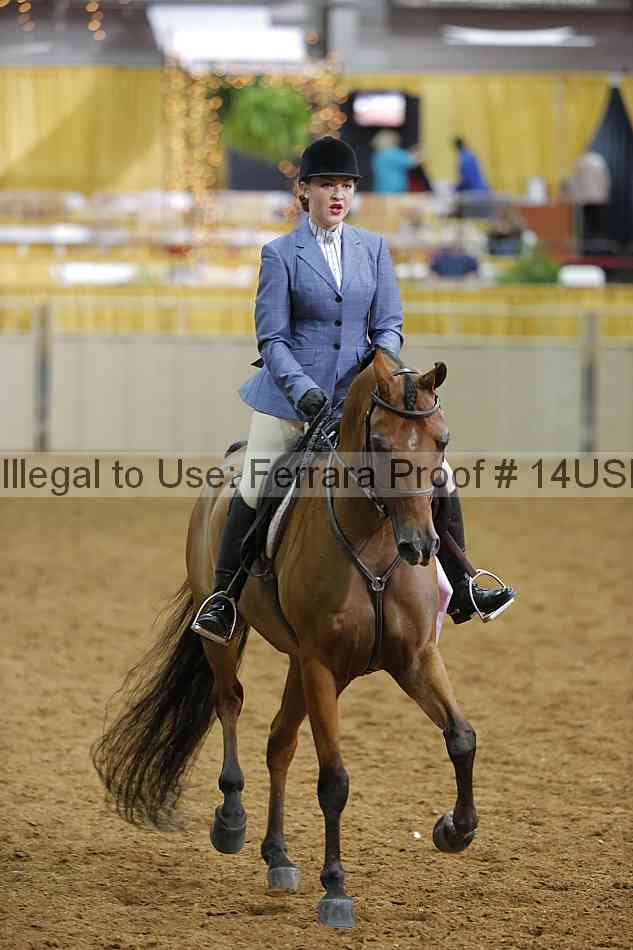 Proof 14usn_07938