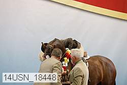 14usn_18448 proof
