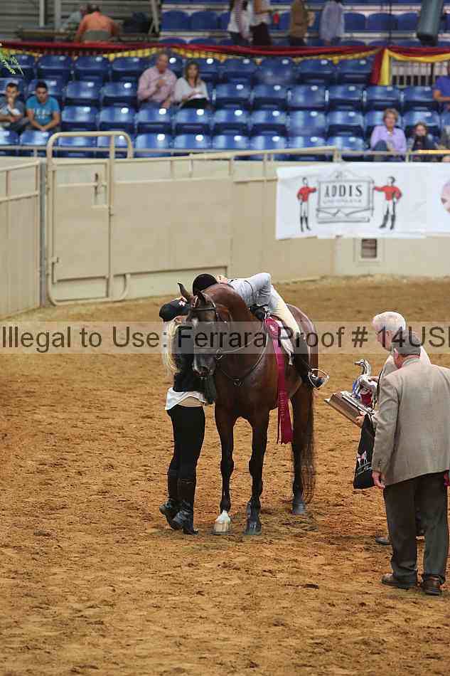 Proof 14usn_18488