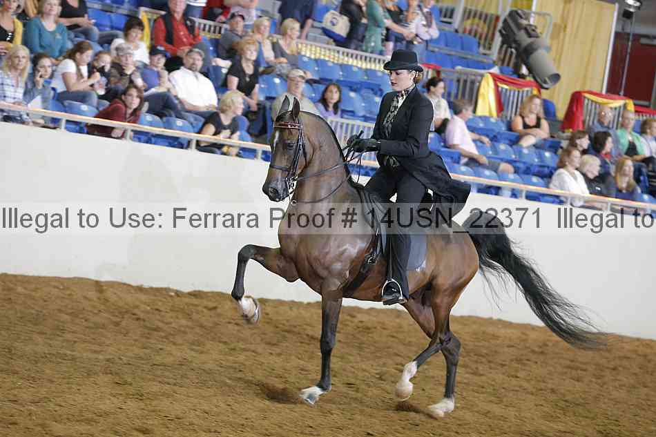 Proof 14usn_22371