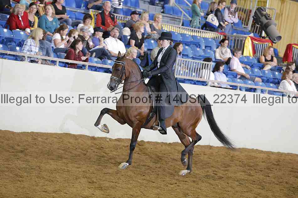Proof 14usn_22374