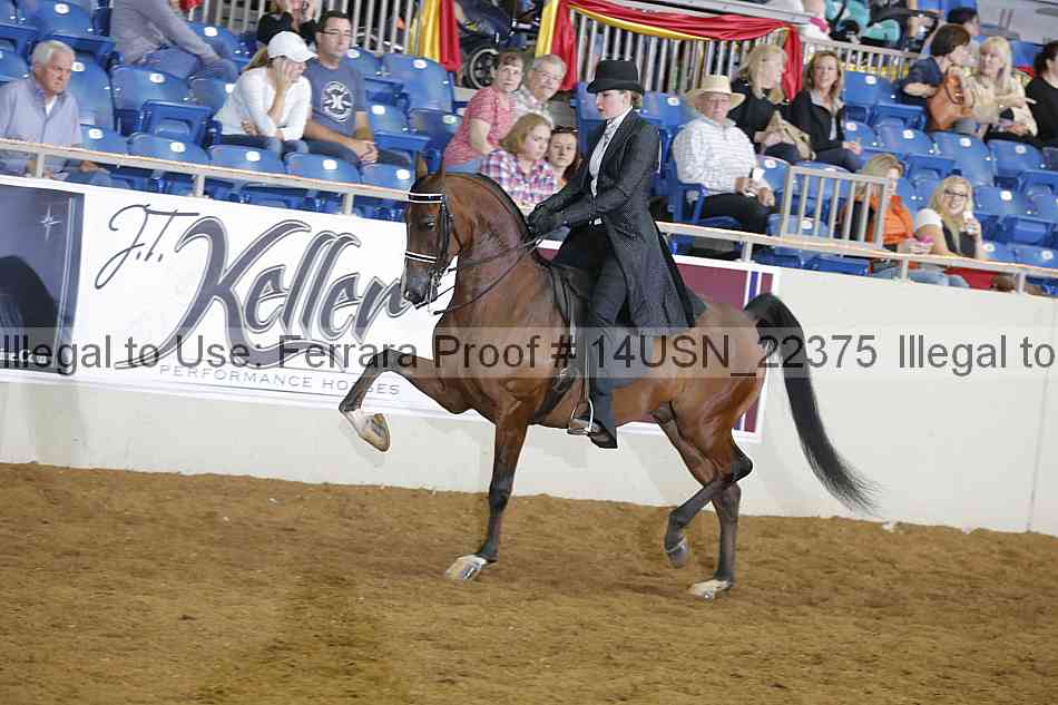 Proof 14usn_22375