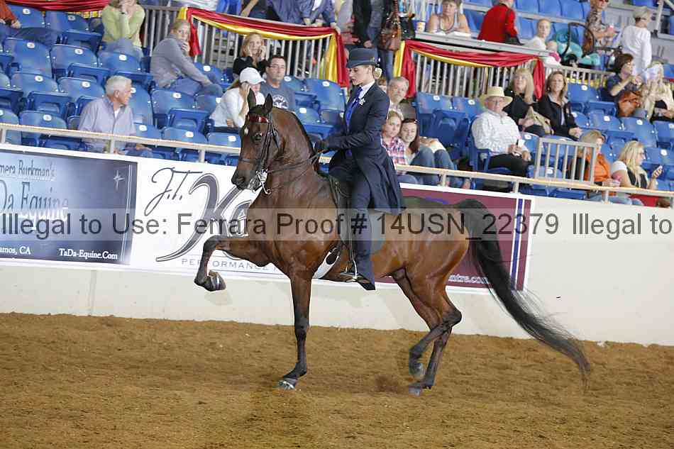 Proof 14usn_22379