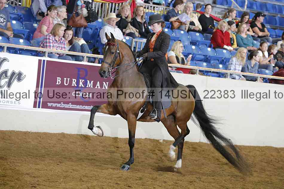 Proof 14usn_22383
