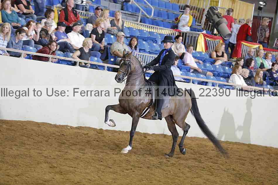 Proof 14usn_22390