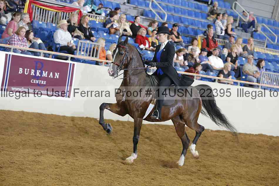 Proof 14usn_22395