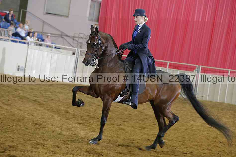 Proof 14usn_22397