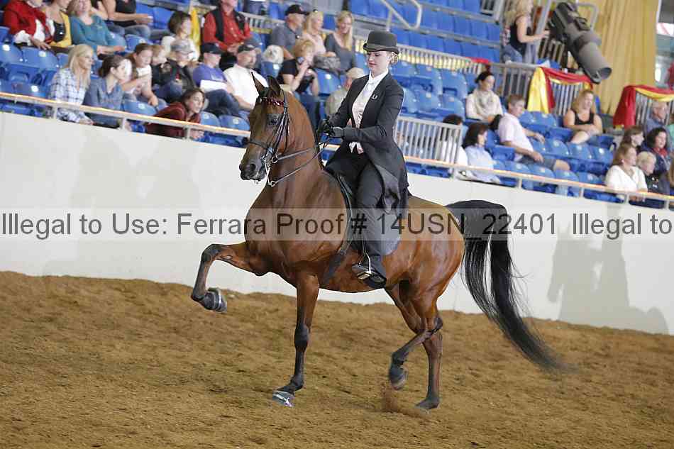 Proof 14usn_22401