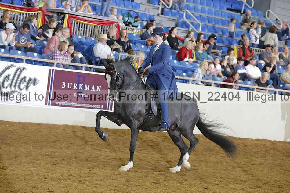 Proof 14usn_22404