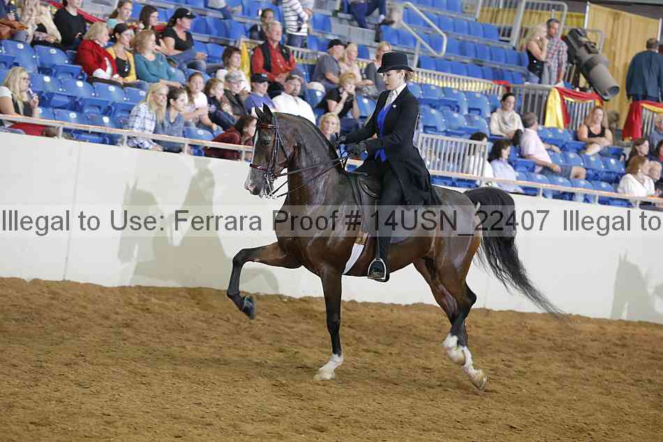 Proof 14usn_22407