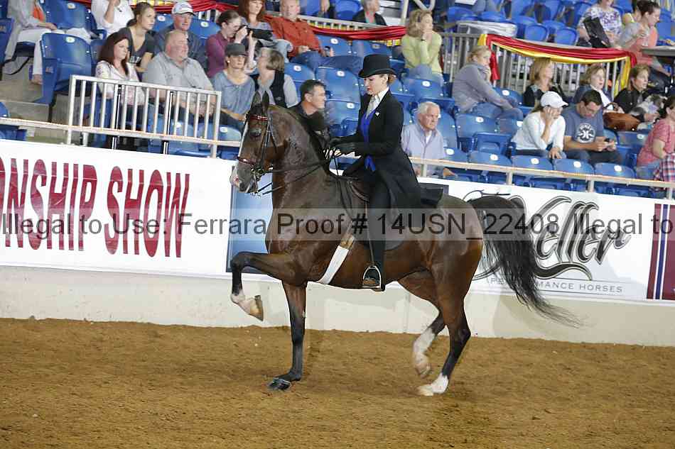 Proof 14usn_22408