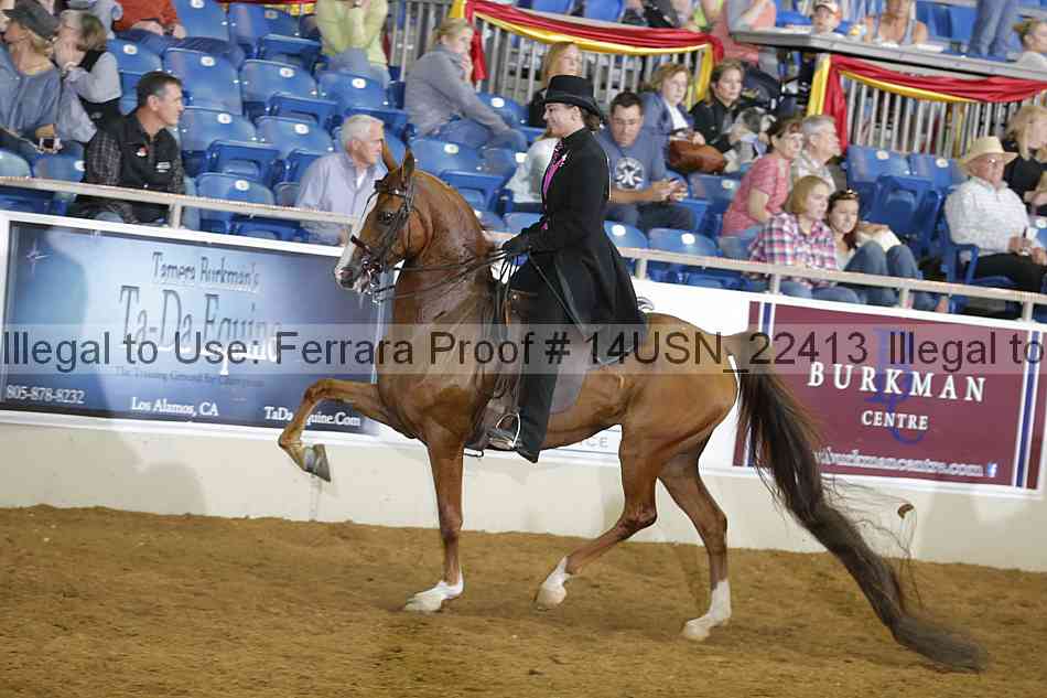 Proof 14usn_22413