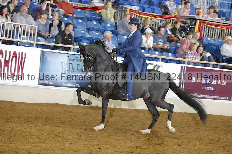 Proof 14usn_22418