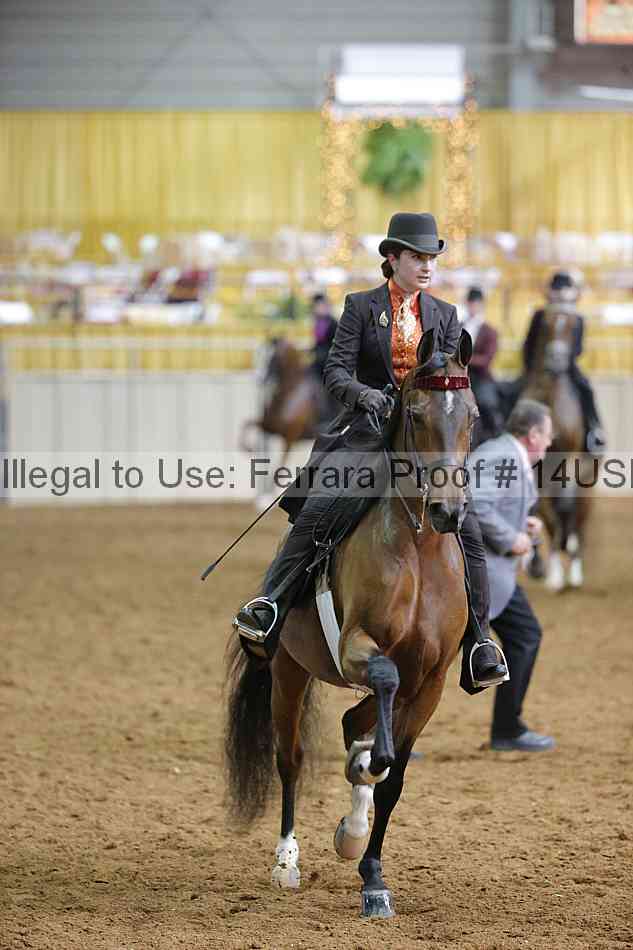 Proof 14usn_22419
