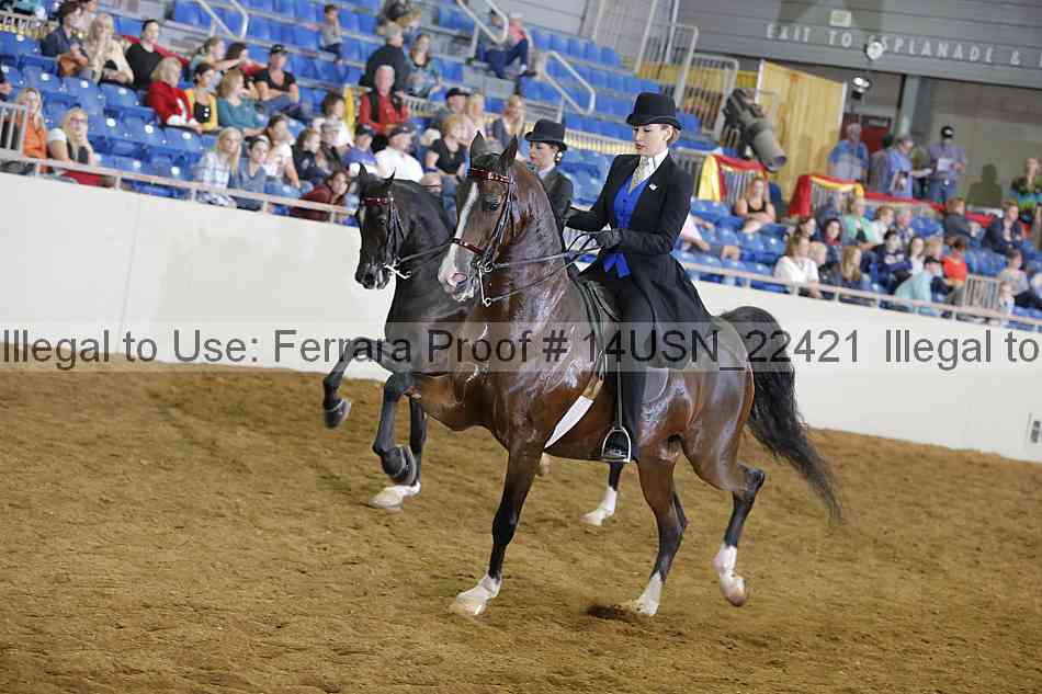 Proof 14usn_22421