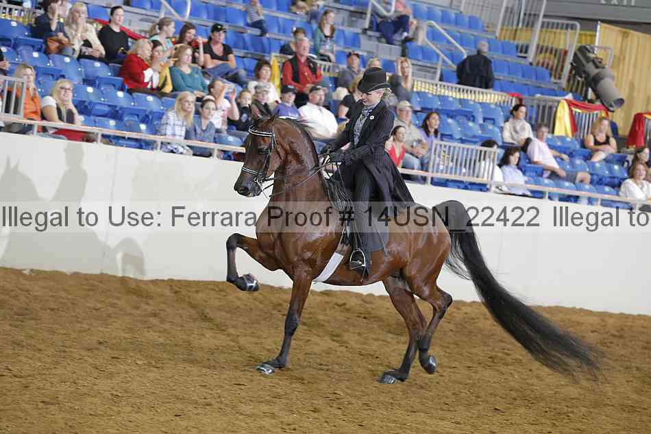 Proof 14usn_22422