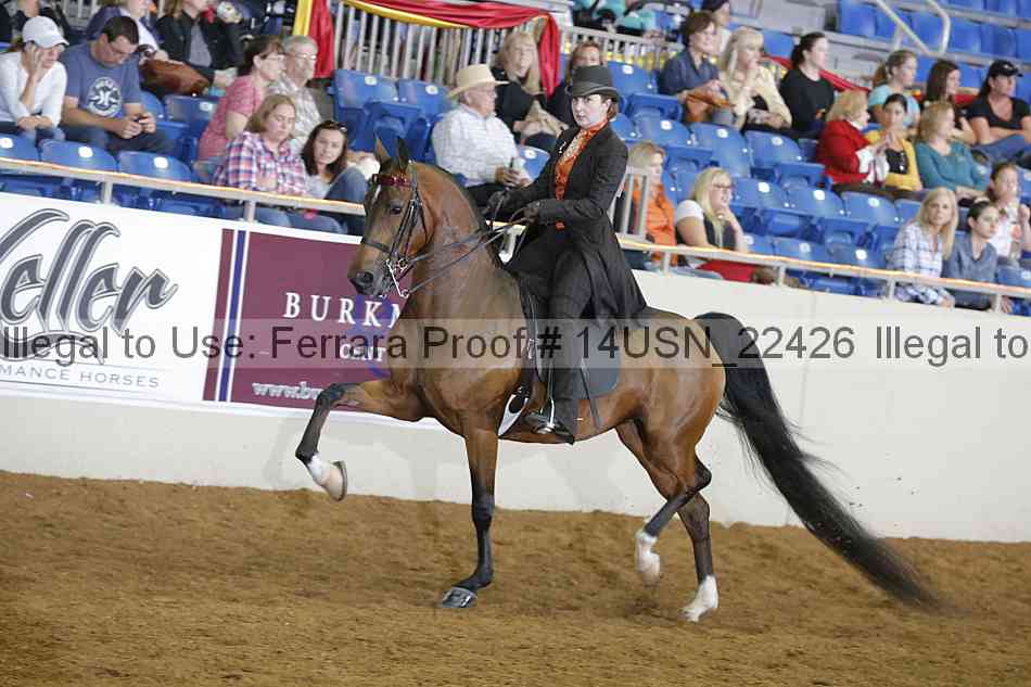 Proof 14usn_22426