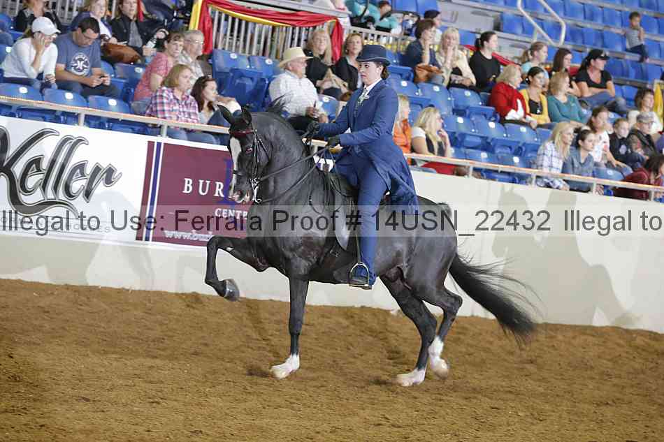Proof 14usn_22432
