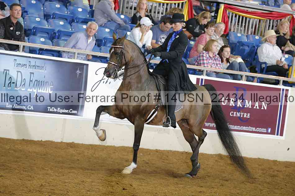 Proof 14usn_22434
