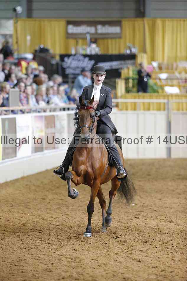 Proof 14usn_22438