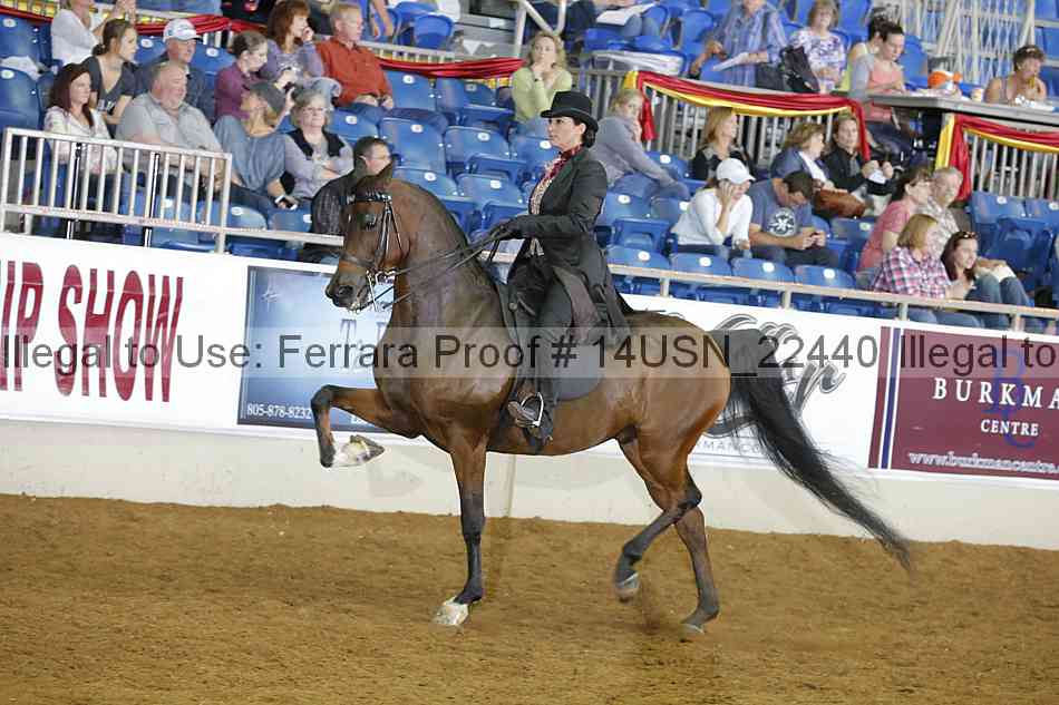 Proof 14usn_22440