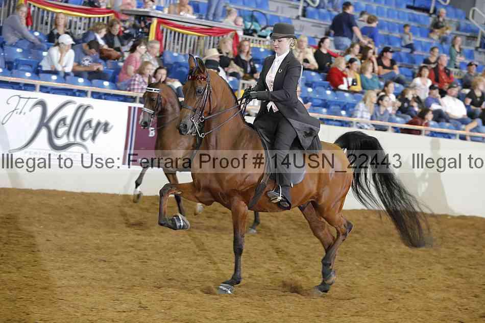 Proof 14usn_22443