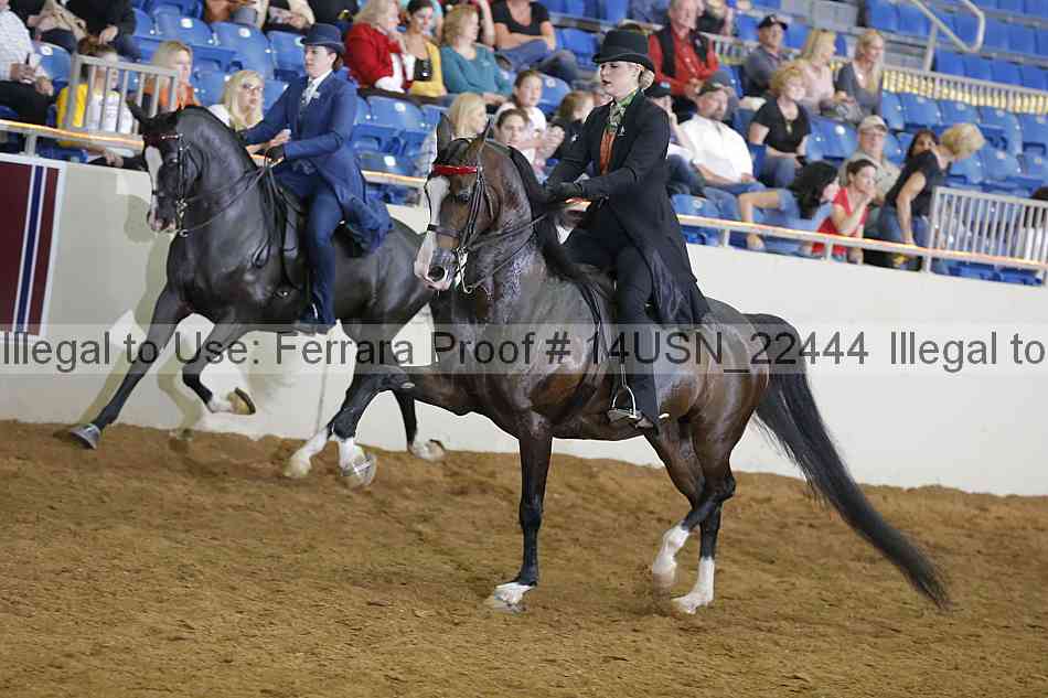 Proof 14usn_22444