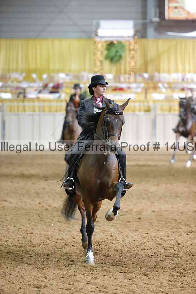 Proof 14usn_22445