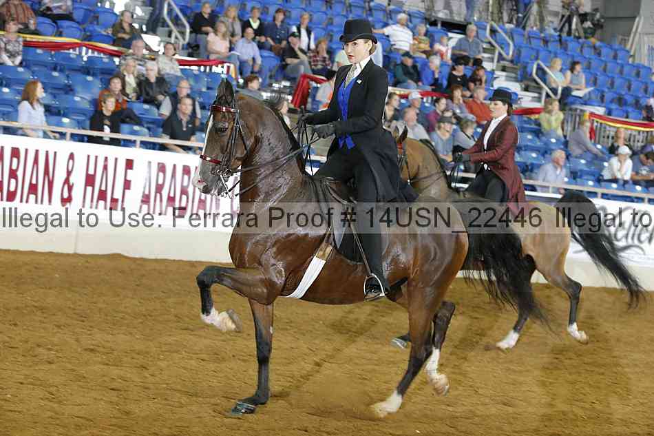 Proof 14usn_22446