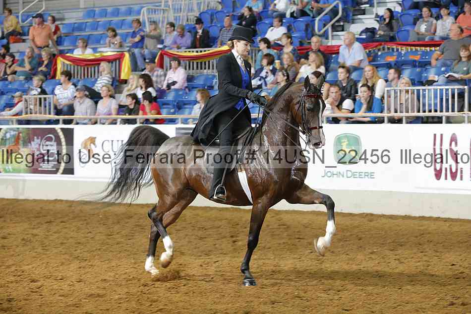 Proof 14usn_22456