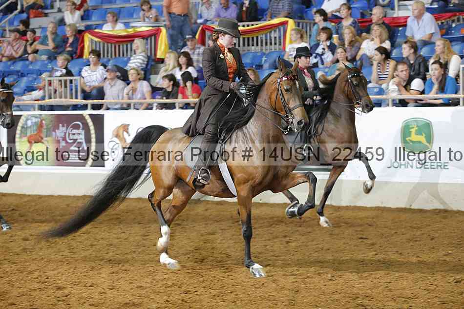 Proof 14usn_22459