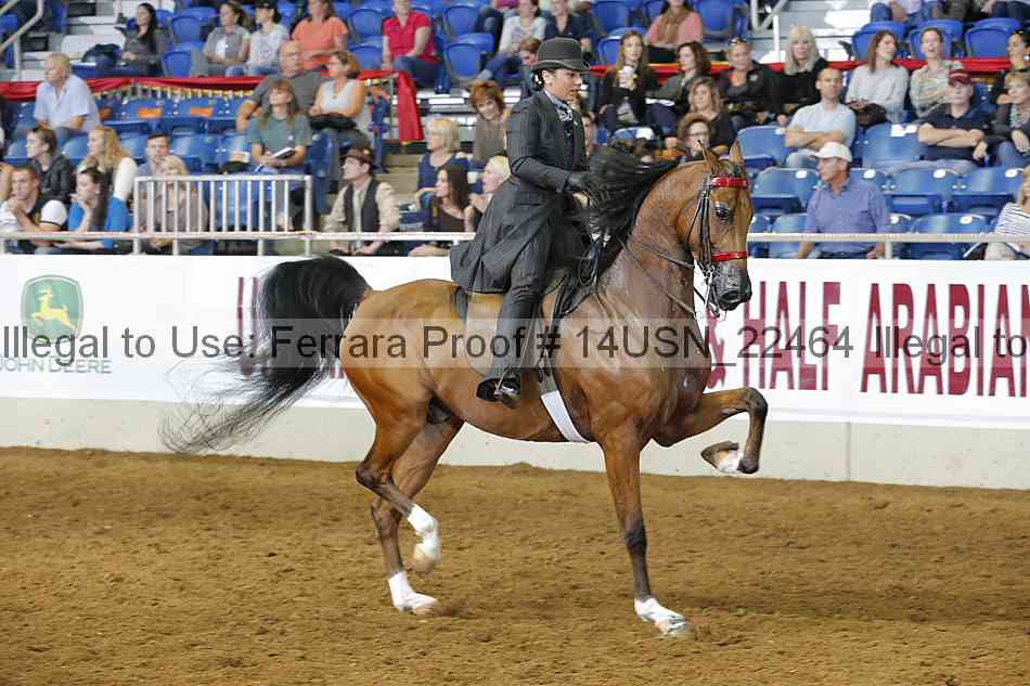 Proof 14usn_22464