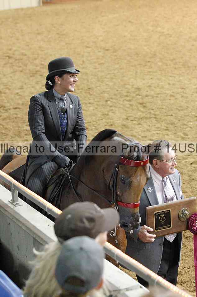 Proof 14usn_22482