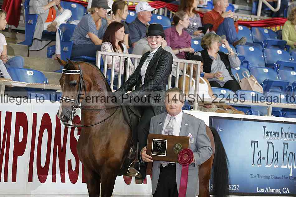 Proof 14usn_22485