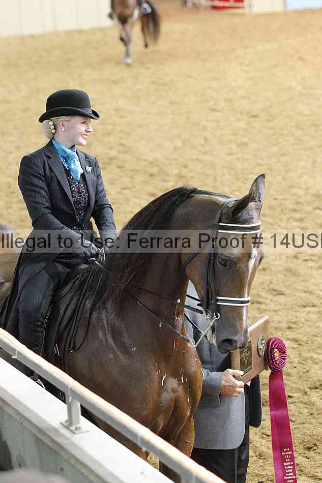 Proof 14usn_22489