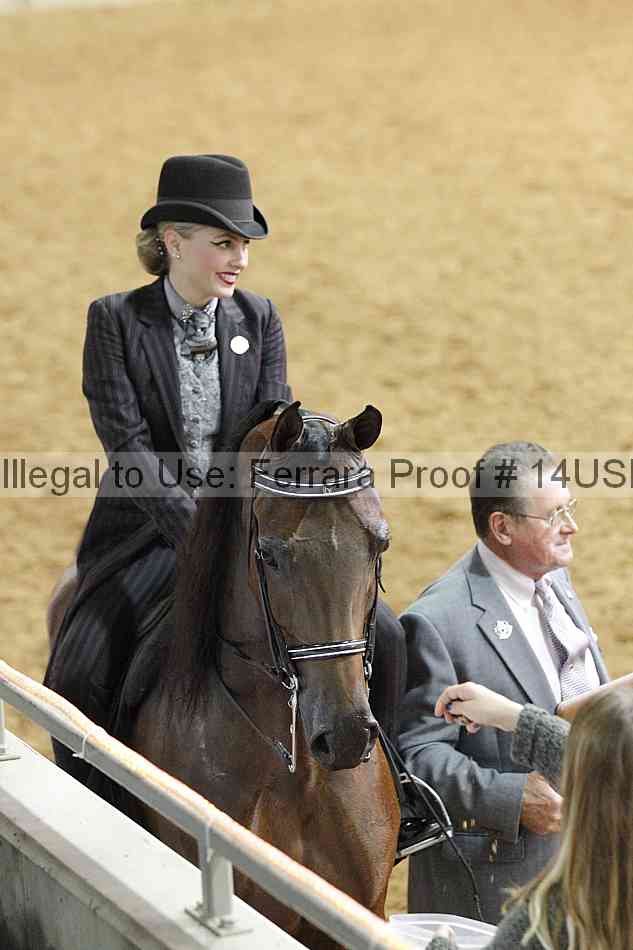 Proof 14usn_22494