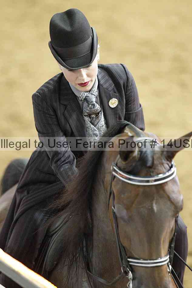 Proof 14usn_22495