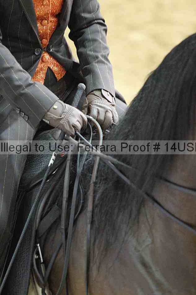 Proof 14usn_22503