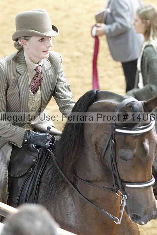 Proof 14usn_22508