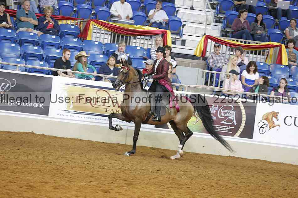 Proof 14usn_22525
